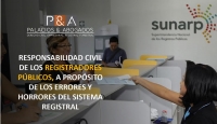 Responsabilidad civil de los Registradores Públicos, a propósito de los errores y horrores del sistema registral