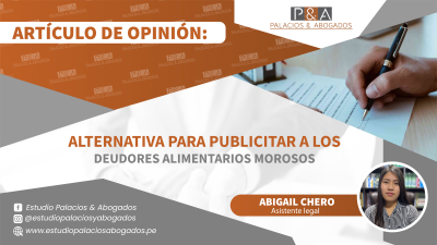 REDAM – ALTERNATIVA PARA PUBLICITAR A LOS DEUDORES ALIMENTARIOS MOROSOS
