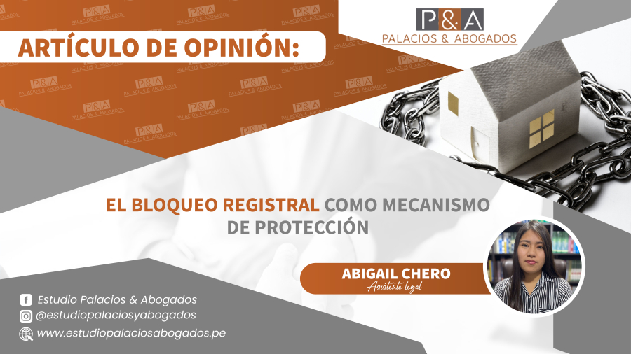 EL BLOQUEO REGISTRAL COMO MECANISMO DE PROTECCIÓN